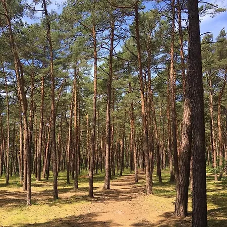Sloneczny Domek Feriehus *