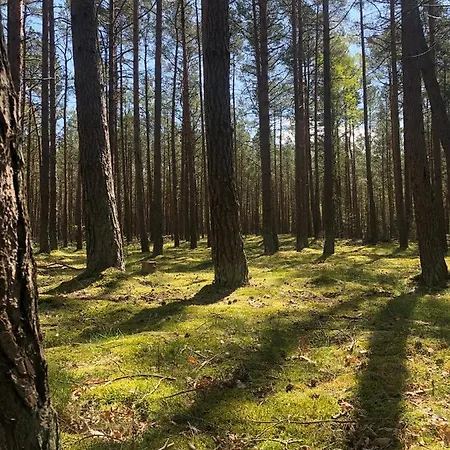 Sloneczny Domek Łukęcin